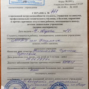 Справка 095/у