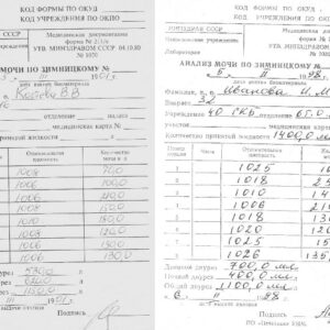 Анализ по Зимницкому